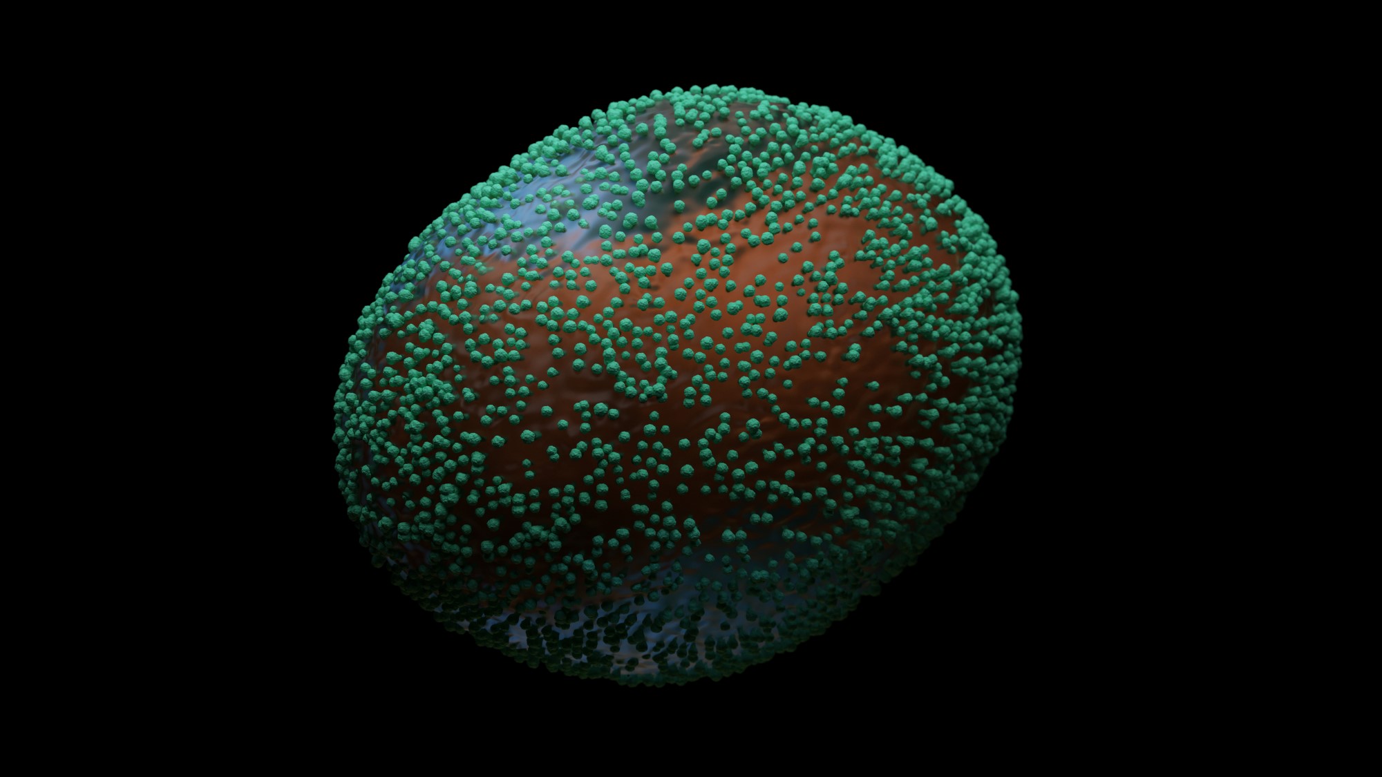 recreación gráfica virus monkeypox/ Adobe Stock