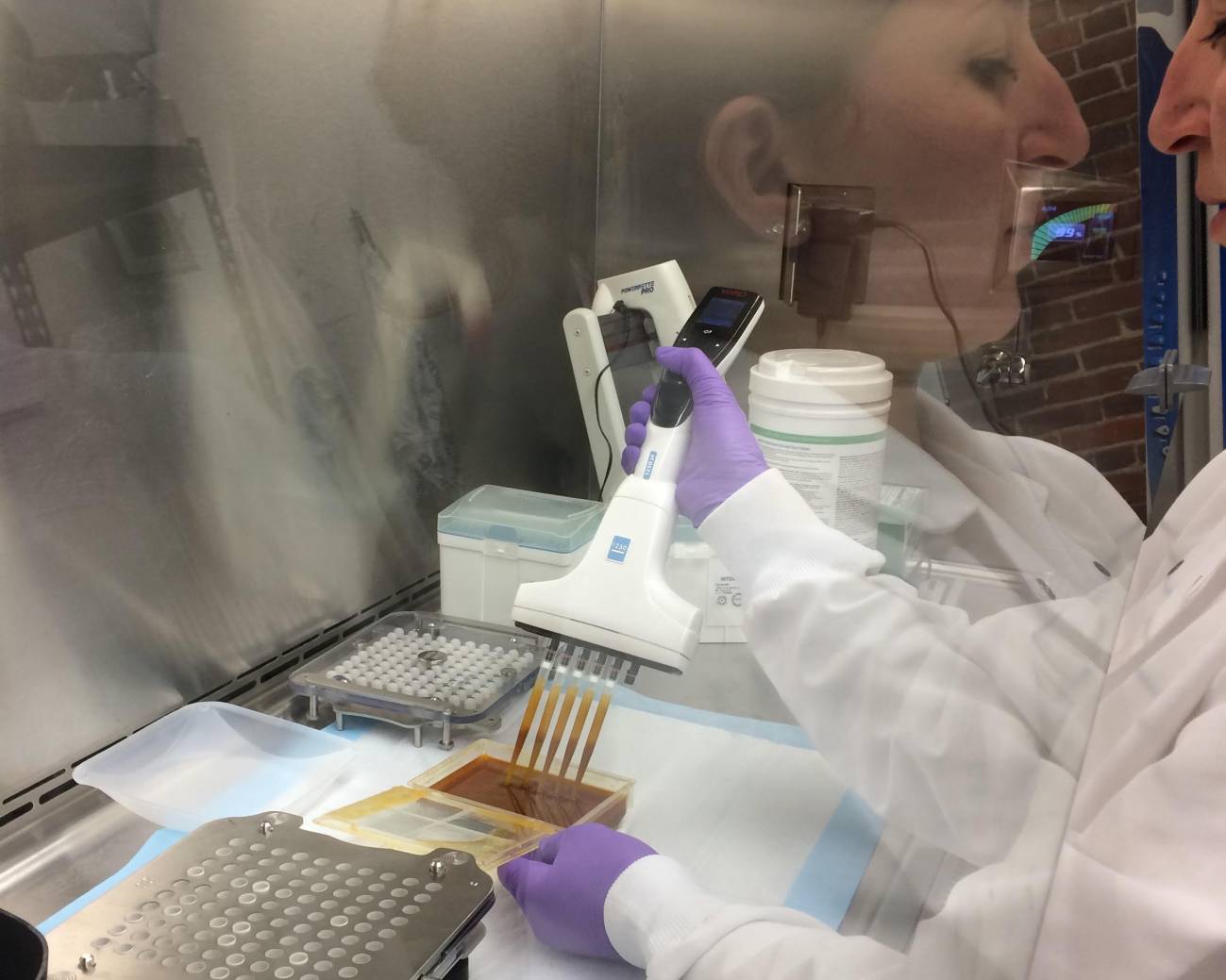 Investigadores del banco público de heces Openbiome (EE UU) procesan las donaciones fecales para enviarlas a hospitales de todo el país como tratamiento de la diarrea recurrente causada por C. difficile. / Openbiome