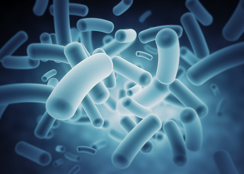 bacterias intestinales