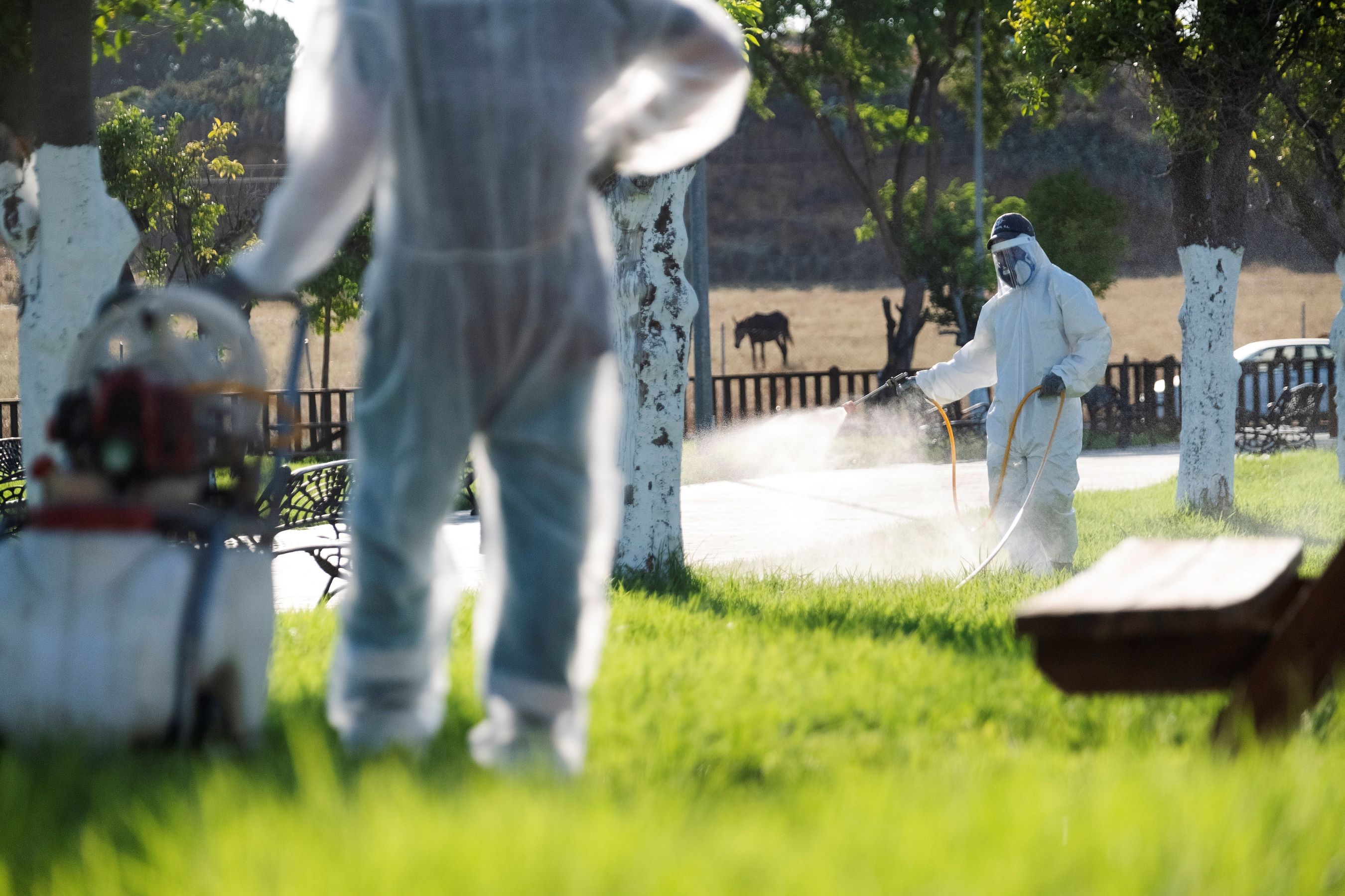 Mosquito-borne diseases