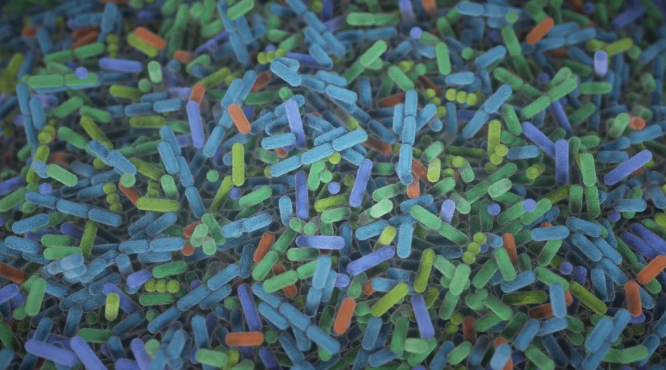 microbiome