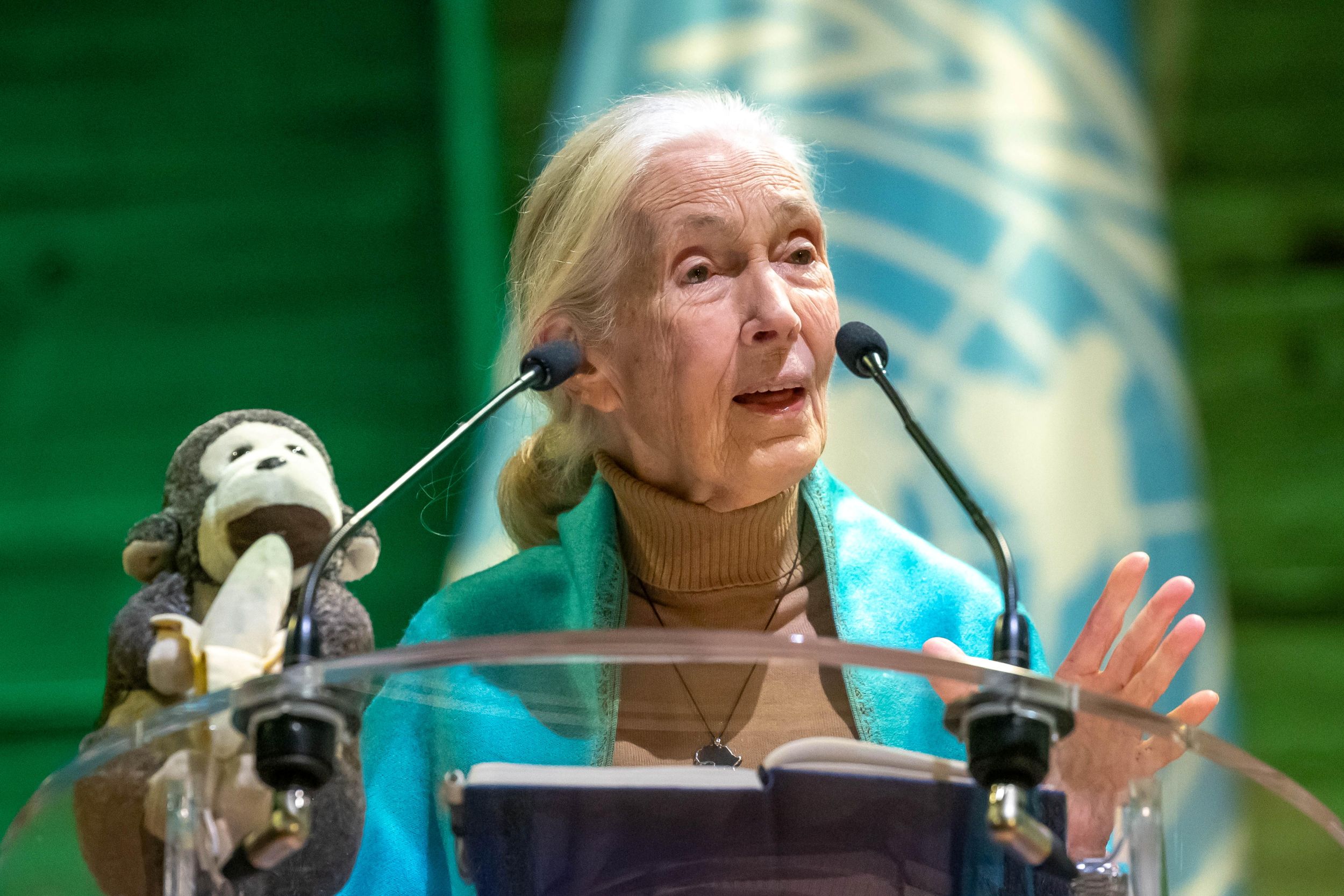 Jane Goodall