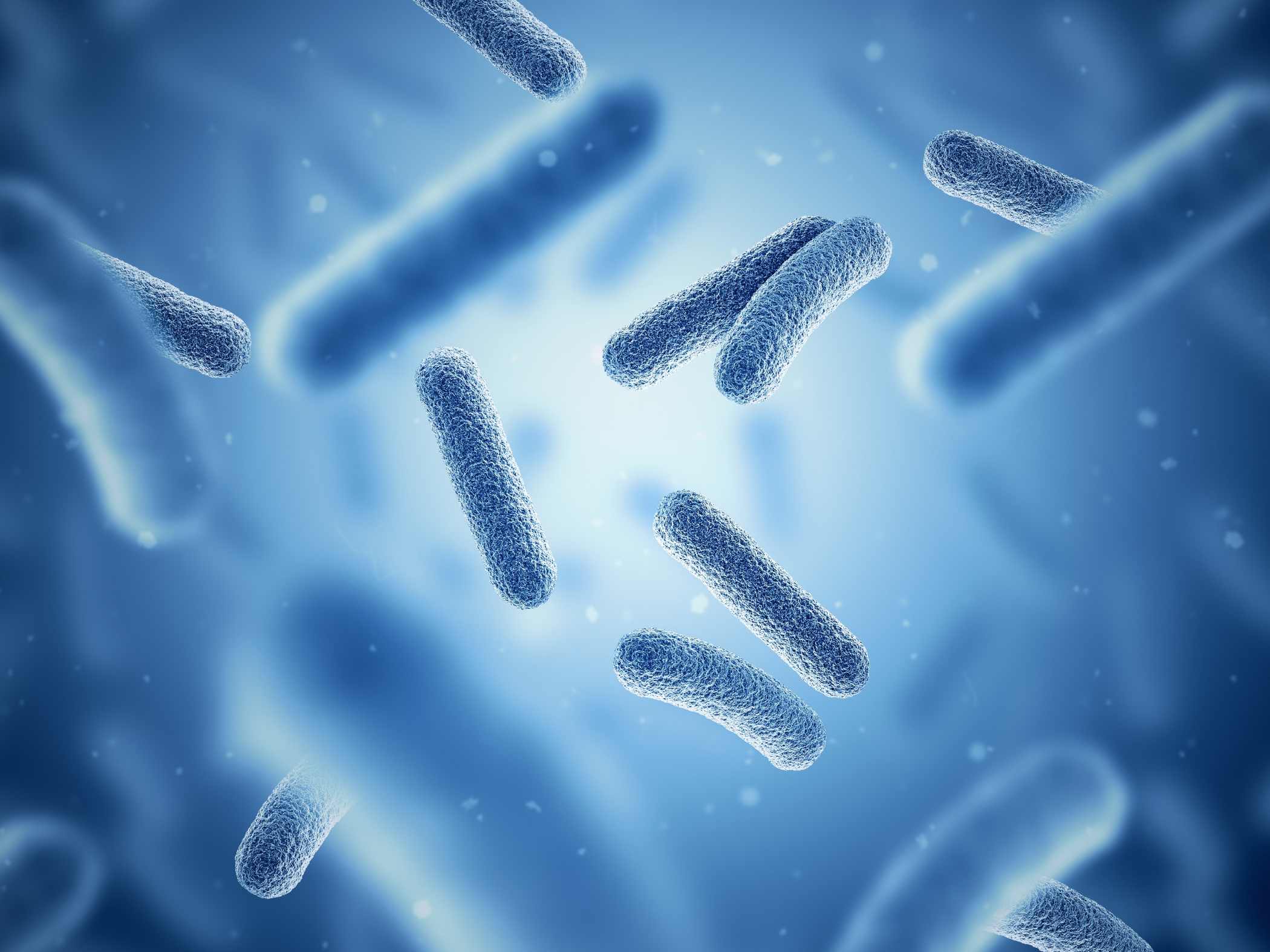 Microbioma