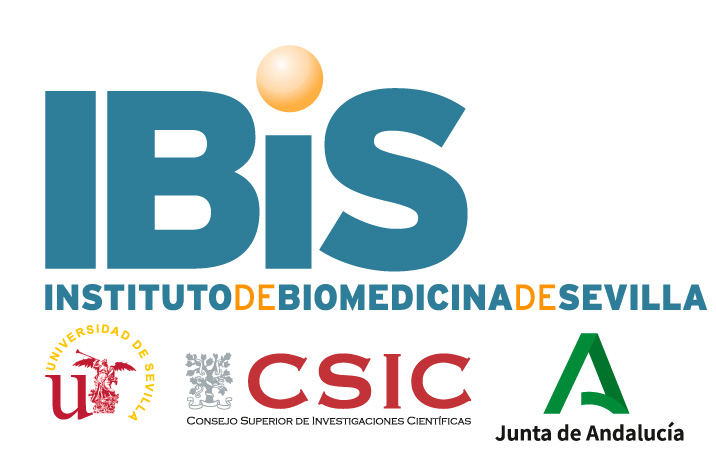 IBiS - Instituto de Biomedicina de Sevilla
