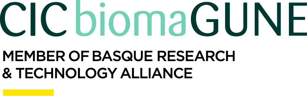 The main research lines deal with the design, preparation and characterization of biofunctional nanostructures and their in vitro and in vivo biological evaluation, to be used in the study of biological processes and the development of biomedical tools such as theranostic or multitherapeutic platforms