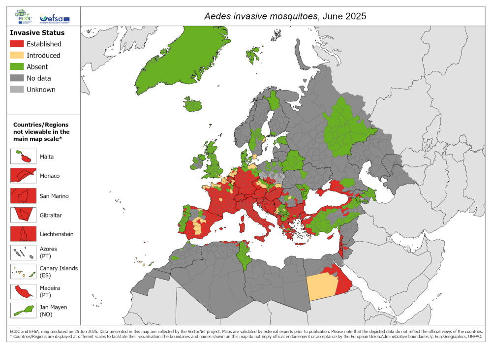 mapa aedes 2025
