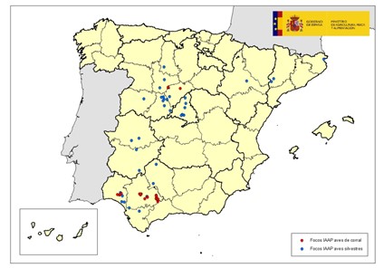 focos de gripe avier en España 2022