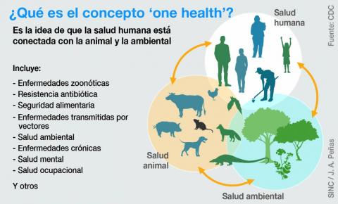 Infografía One-health