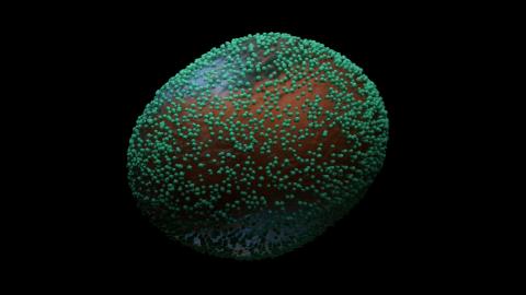 recreación gráfica virus monkeypox/ Adobe Stock