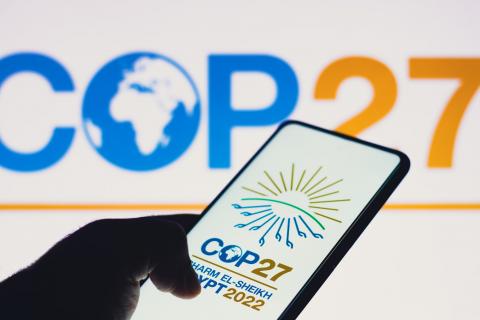 cop27