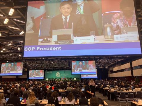 COP15
