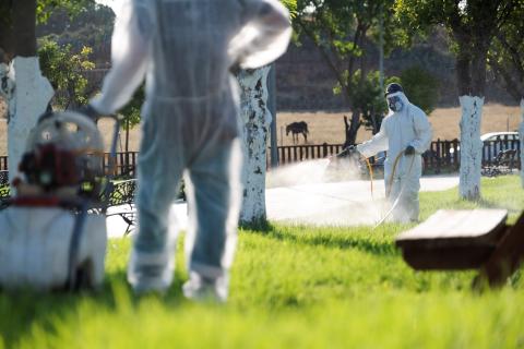 Mosquito-borne diseases