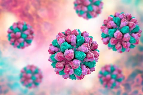 norovirus