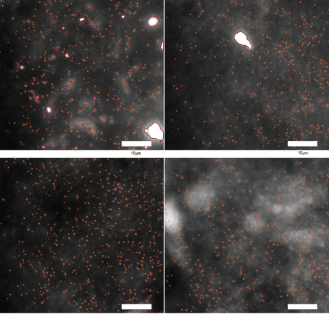 University of Cambridge