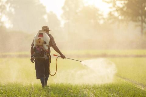 Man spraying pesticides