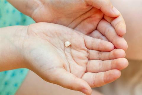baby tooth