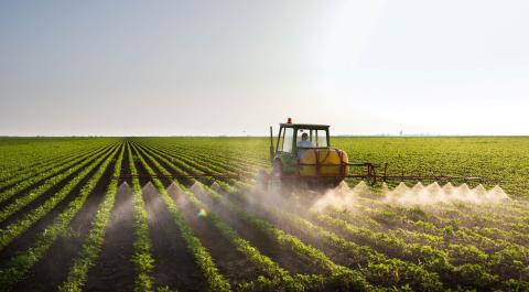 pesticides