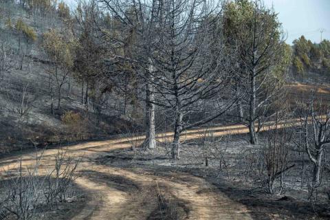 incendio