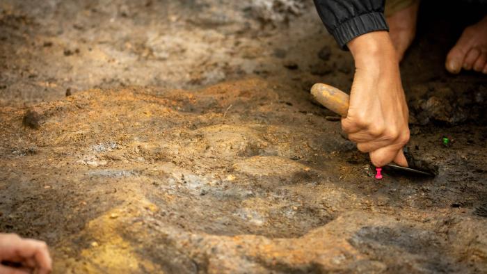 Hallan evidencias de que los humanos hacían fuego hace 400.000 años excavación