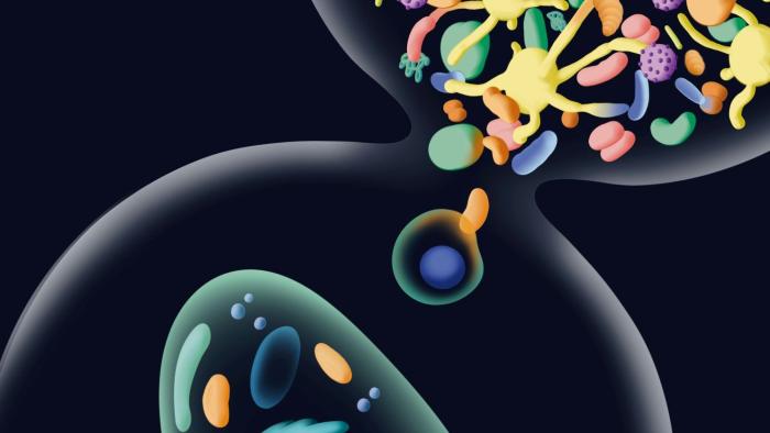Un estudio español en Nature replantea el origen de nuestras células como una historia de alianzas microbianas BSC/IRB